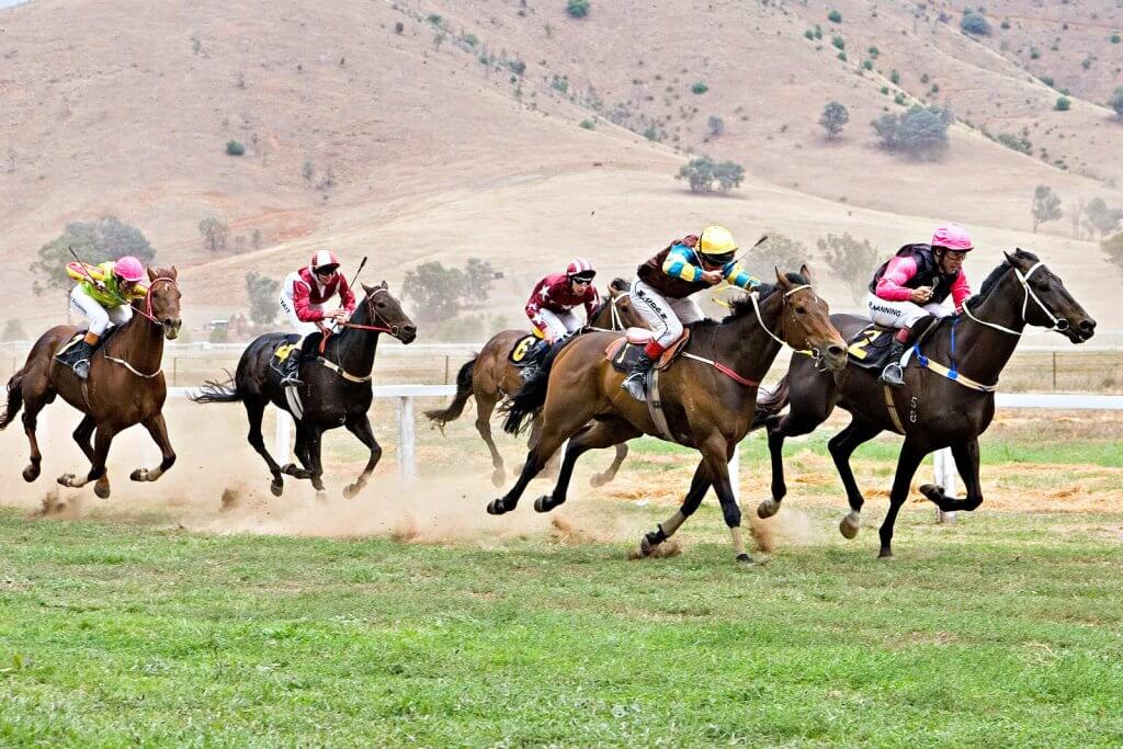 Biggest New Zealand Horse Racing Events to Bet On